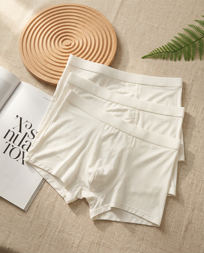 Pack de 3 boxers MAÉO modal blanc, posés sur lin beige avec planche bois et fougère verte